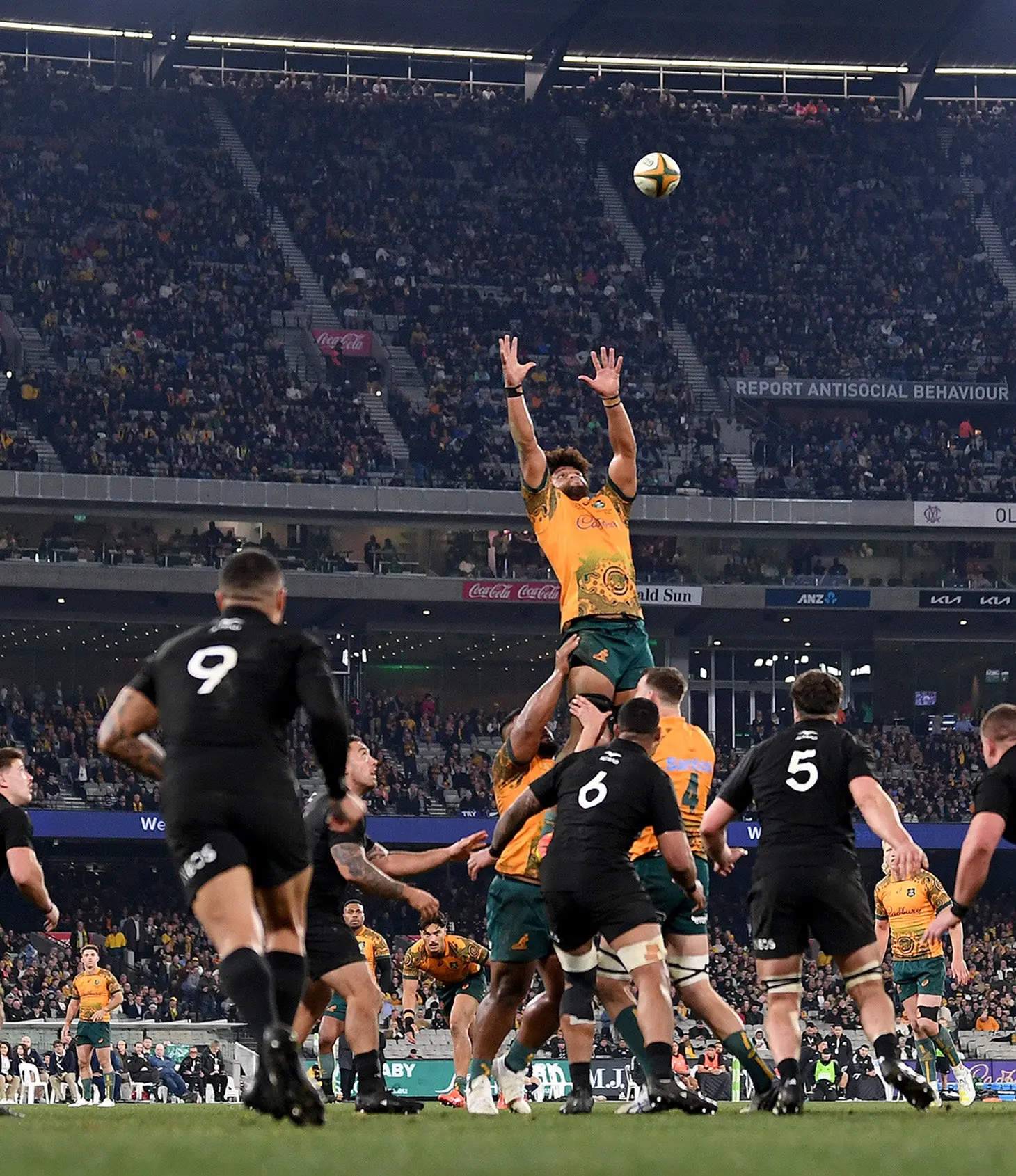 accor_wallabies_all_blacks__match_feature.jpg