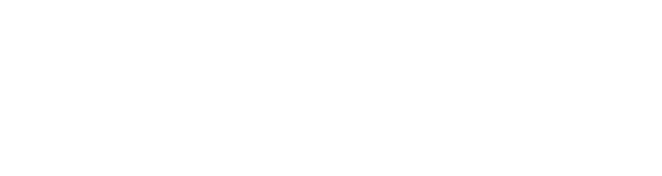 VNSWOH_Website_Logo(Negative).png